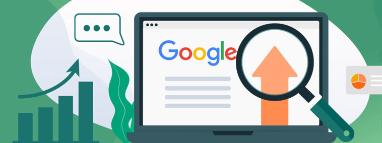 Investigate SEO Health
