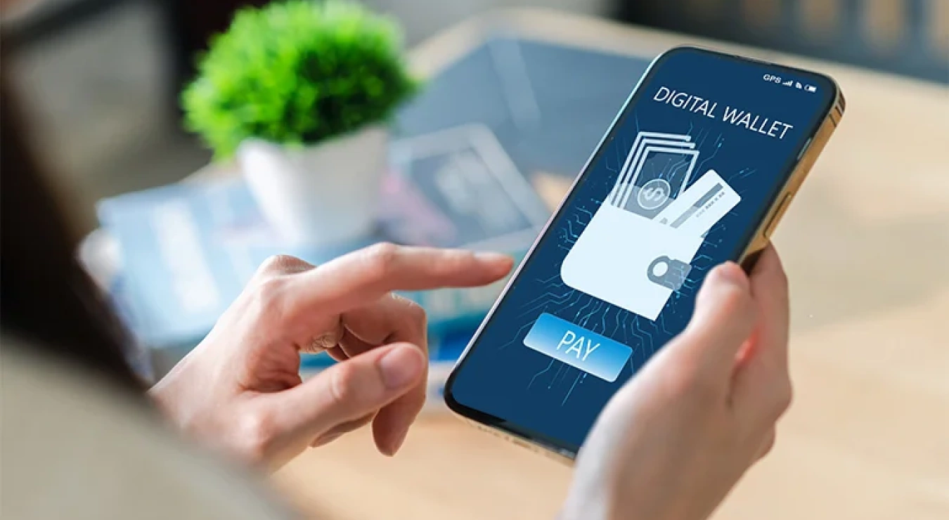 digital-wallets-and-svf-providers