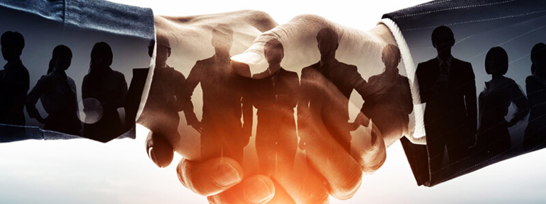 Make your team more organized