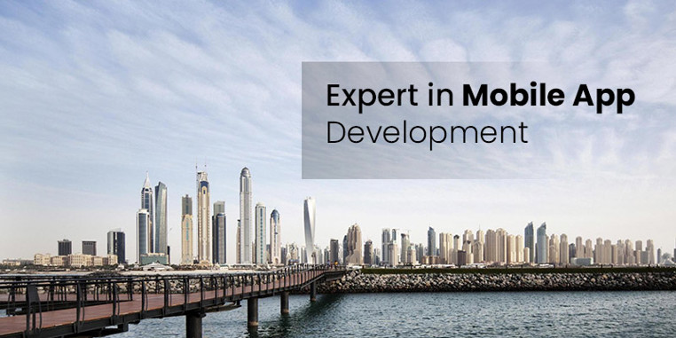 Expert in Mobile App Development