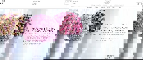 What is Flowers.ae?