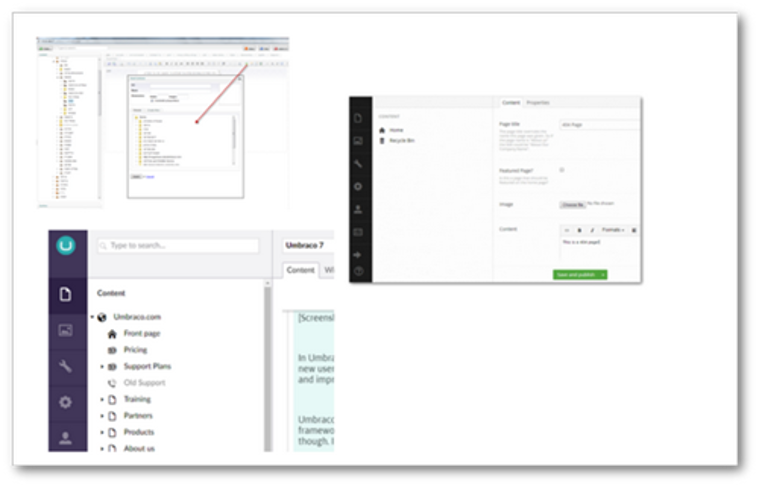 Umbraco website update
