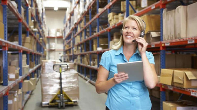Multi-Location Inventory