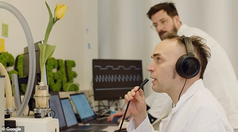 Google to decode the language of flowers.