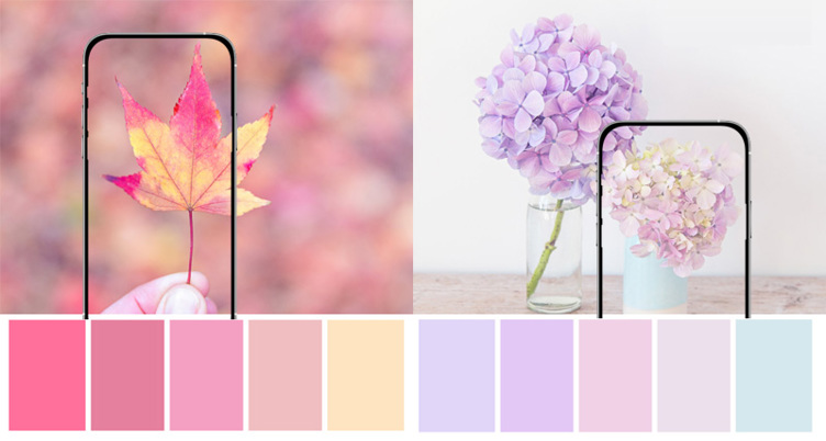 Embrace Muted Colors