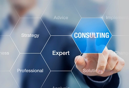 security-consultancy