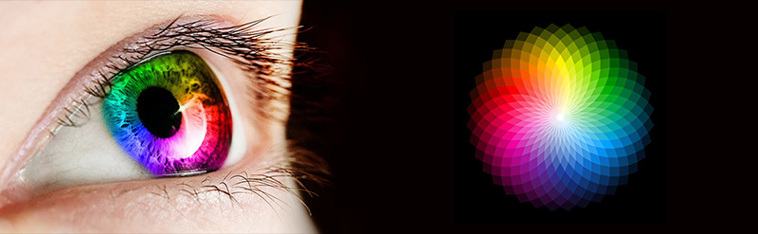 How Humans Perceive Color