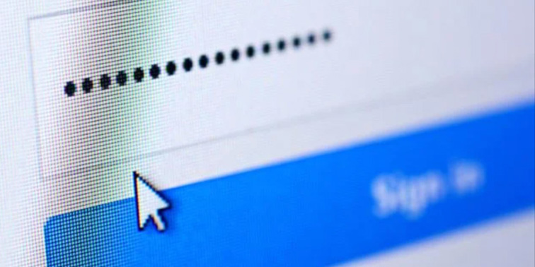 Review Your Website Information