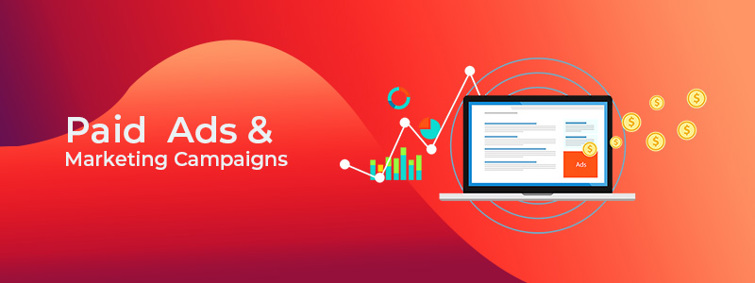 Paid Ads & Marketing Campaigns