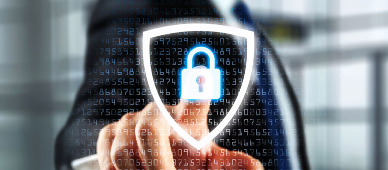 Establish Security Measures