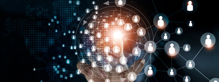 Networking and knowledge sharing
