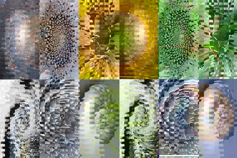 Golden ratio: